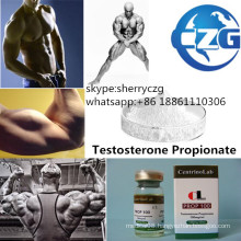 Test P Bodybuilding Steroid Hormone Powder Testosterone Propionate